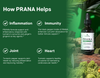PRANA