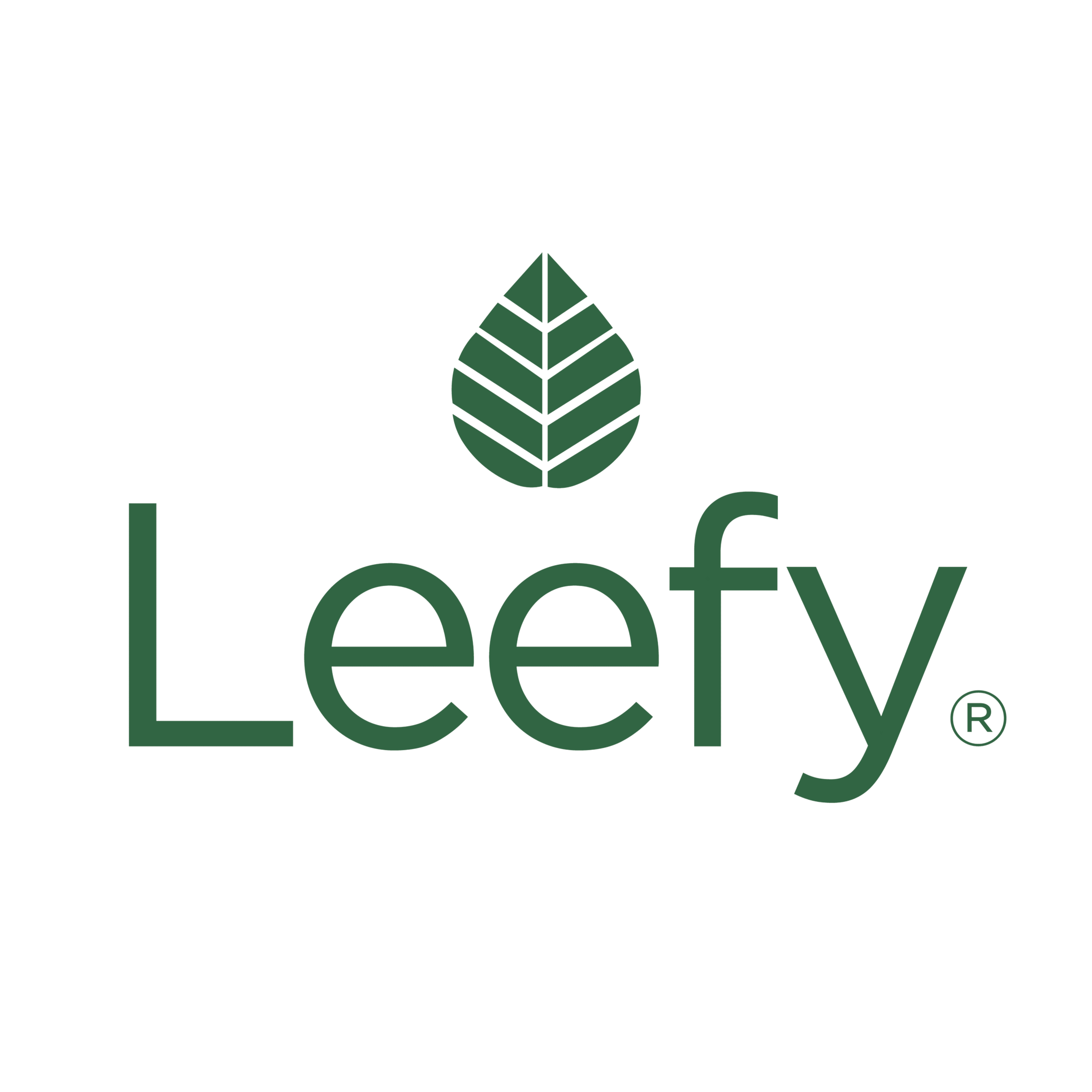 Leefy Organics logo: green leaf mark and Leefy wordmark